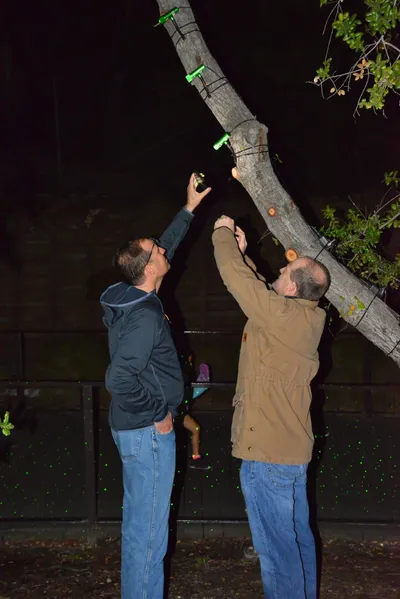 DSC_7094 (Large).JPG